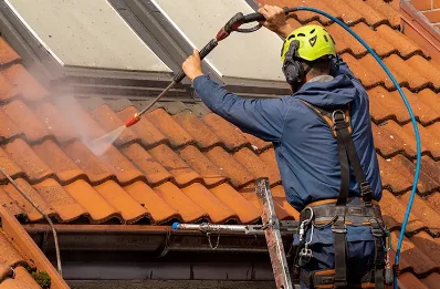 Démoussage et hydrofuge de toiture à Auriol